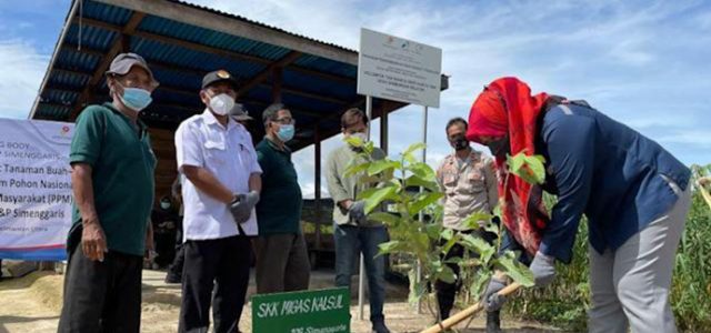 Dukung Penyerapan Karbon, SKK Migas Canangkan Penanaman 1,7 Juta Pohon