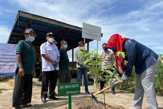 Dukung Penyerapan Karbon, SKK Migas Canangkan Penanaman 1,7 Juta Pohon