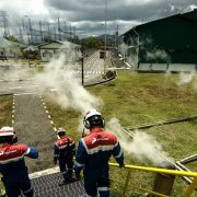 Ini Delapan Inisiatif Pertamina Perluas Portofolio Energi Hijau