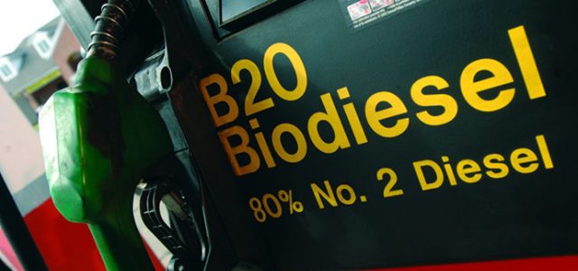 April 2022 Harga Biodiesel Dipatok Rp 15.659 per Liter