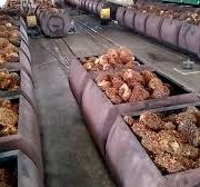 Kinerja Industri Pengolahan Sawit Tahun Lalu Moncer