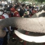Menkeu Kunjungi Pusat Konservasi Gajah Binaan Pertamina Hulu Rokan