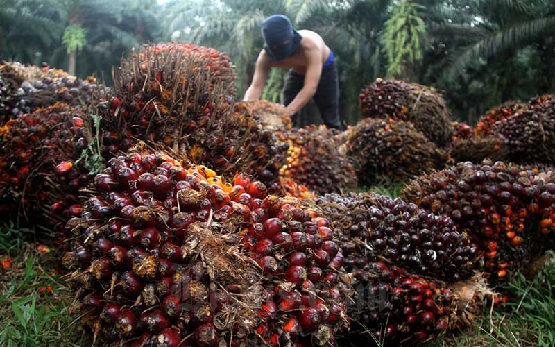 HPE CPO Periode Mei 2022 Ditetapkan