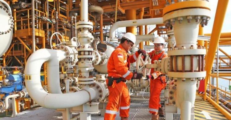 PGN Subholding Gas Pertamina Bidik Pasar Ritel Gas Bumi