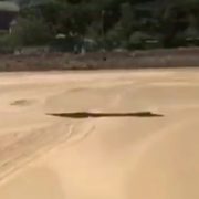 Fenomena di Teluk Bima Bukan Akibat Tumpahan Minyak, Operasi Pertamina Dipastikan Aman