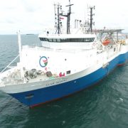 Pastikan Zero Accident Dipertahankan, Elnusa dan PHE Tinjau Proyek 2D Vibroseis