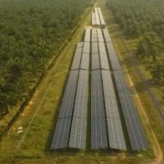 Pemerintah Berkomitmen Capai Target Netralitas Karbon di 2060