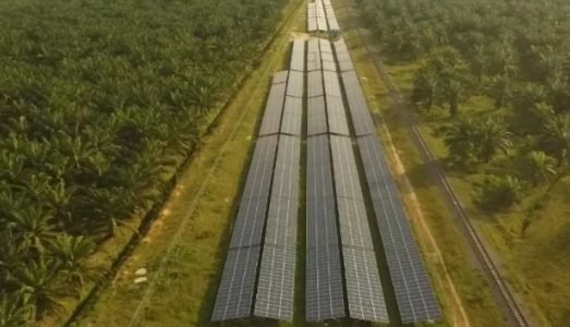 Pemerintah Berkomitmen Capai Target Netralitas Karbon di 2060
