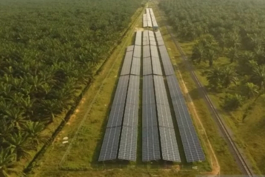Pemerintah Berkomitmen Capai Target Netralitas Karbon di 2060