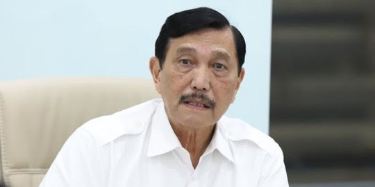 Luhut: Investasi Perusahaan Milik Elon Musk Butuh Waktu