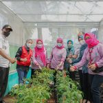 Kilang Pertamina Plaju Dukung 11 Lokasi Proklim di Kota Palembang