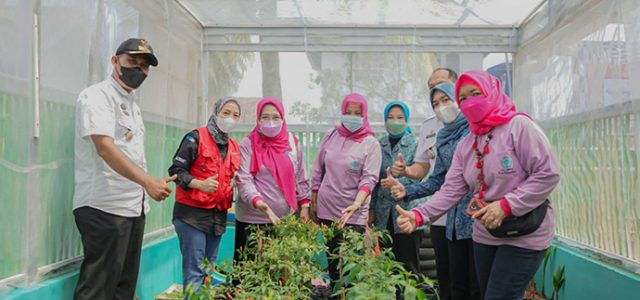Kilang Pertamina Plaju Dukung 11 Lokasi Proklim di Kota Palembang