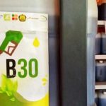 Aprobi: Penggunaan Bioenergi Punya Peran Strategis dalam Kebijakan Transisi Energi