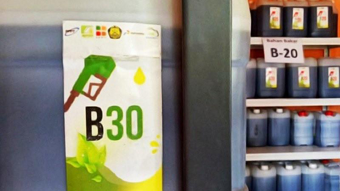 Aprobi: Penggunaan Bioenergi Punya Peran Strategis dalam Kebijakan Transisi Energi