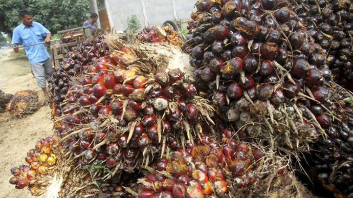 Protes Kebijakan Pemerintah, Petani Sawit Turun ke Jalan