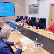 Azerbaijan Sepakat Tingkatkan Kerjasama Bidang Energi di RI