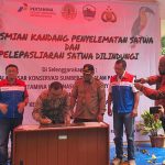 Bikin Kandang Transit Satwa Sebelum Pelepasliaran, Pertamina Selamatkan Satwa Papua