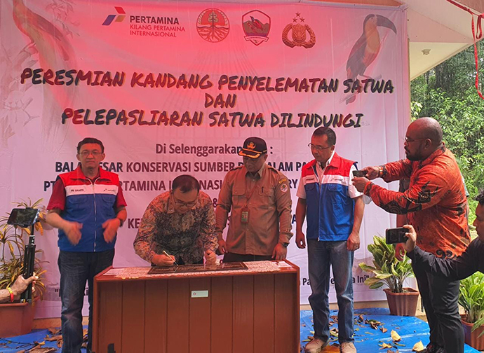 Bikin Kandang Transit Satwa Sebelum Pelepasliaran, Pertamina Selamatkan Satwa Papua