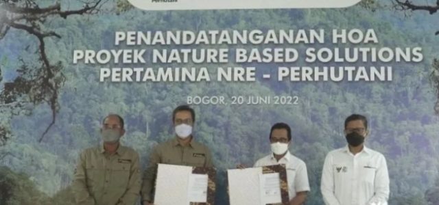 Skema Pengurangan Emisi, Perhutani dan Pertamina NRE Kembangkan Proyek NBS