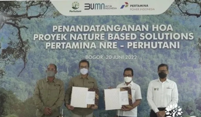 Skema Pengurangan Emisi, Perhutani dan Pertamina NRE Kembangkan Proyek NBS