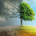 Kesadaran Pentingnya Pemahaman Terkait Isu Perubahan Iklim Meningkat