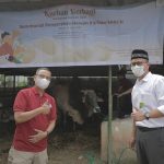 Peringati Idul Adha, Elnusa Sebar 81 Ekor Sapi dan 153 Ekor Kambing