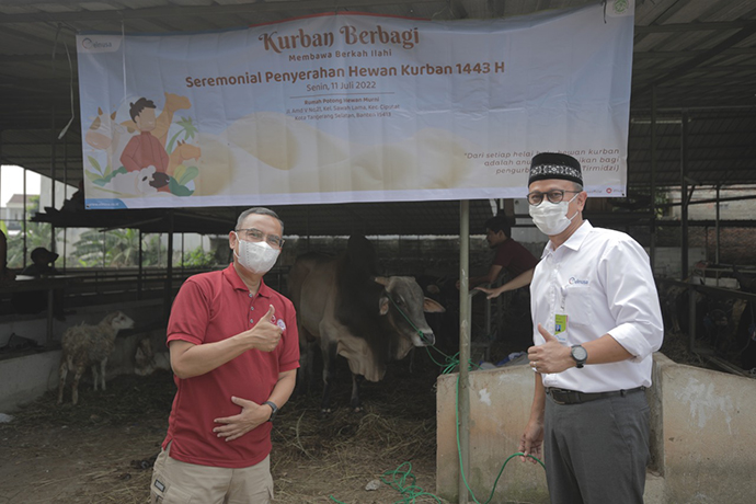 Peringati Idul Adha, Elnusa Sebar 81 Ekor Sapi dan 153 Ekor Kambing