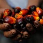 Olah Produk Turunan CPO, Perusahaan Ini Gandeng PIC