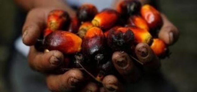 Olah Produk Turunan CPO, Perusahaan Ini Gandeng PIC