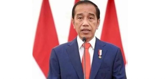 Pemerintah Komitmen Optimalkan Sumber Energi Terbarukan