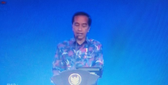 Ini Target Jokowi Kenapa Hilirisasi “Wajib” Dilakukan RI