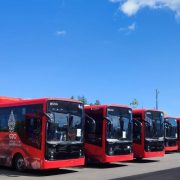 Sukseskan KTT G20, DAMRI Siap Operasikan 24 Bus Listrik