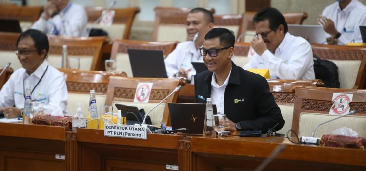 Komisi VI DPR RI Apresiasi PLN Realisasikan PMN Untuk Program Listrik Desa
