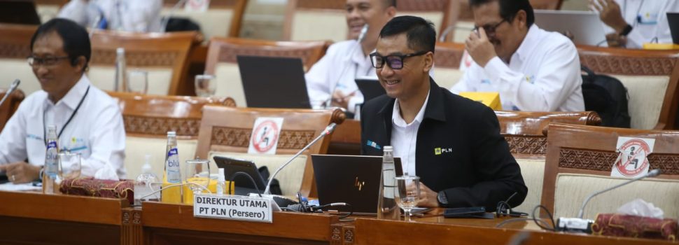 Komisi VI DPR RI Apresiasi PLN Realisasikan PMN Untuk Program Listrik Desa