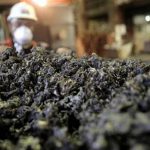 Ekonom: Tren Pemakaian Kendaraan Listrik Berbasis Baterai Diprediksi Terus Meningkat