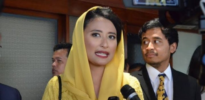 Anggota DPR Dukung Kebijakan Pemerintah Soal Insentif Kendaraan Listrik