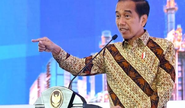 Kalah Gugatan Soal Nikel di WTO, Jokowi: Tak Apa Kita Banding