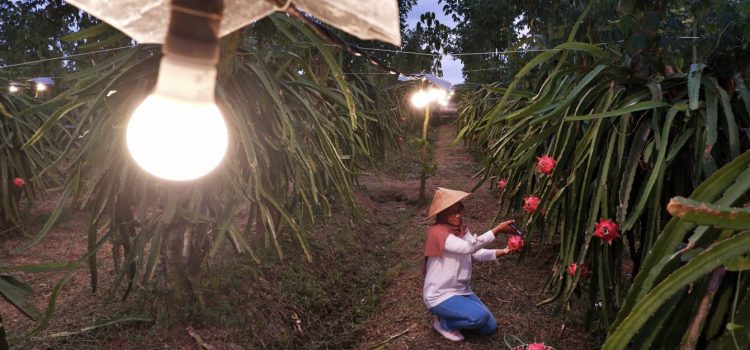 Mantap, PLN Catat Kenaikan Penjualan Listrik 6,17 Persen di Tahun 2022