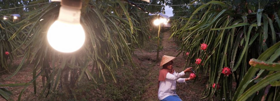 Mantap, PLN Catat Kenaikan Penjualan Listrik 6,17 Persen di Tahun 2022