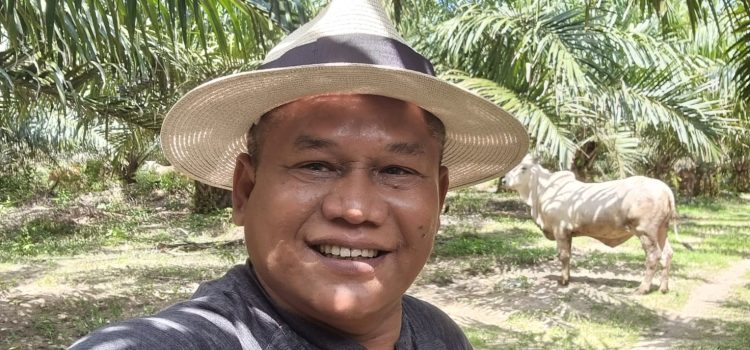 Pakar Ahli Tani Agro : B35 Bukan Penyebab Langkanya Minyakita Tetapi Karena Tidak Tegasnya Pemerintah