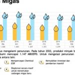 Produksi Migas Nasional Makin Turun?