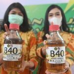 Dampak Kebijakan B30, HPE Produk CPO Alami Kenaikan