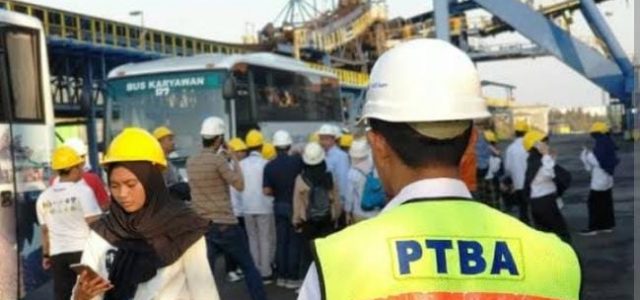 PTBA Siap Garap PLTS Di Area Kerja PT Timah