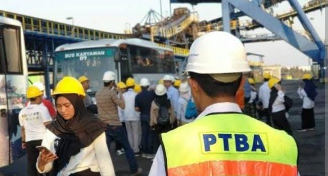 PTBA Siap Garap PLTS Di Area Kerja PT Timah