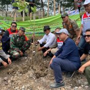 PHE ONWJ Tanam Seribu Mangrove di Pantai Ujung Ori Indramayu