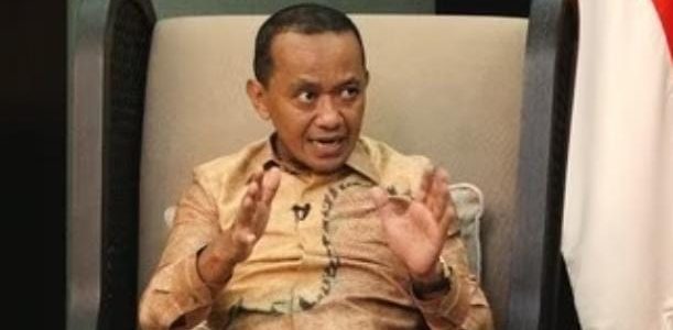 Volkswagen Bakal Investasi Di Industri Baterai Listrik Di Indonesia
