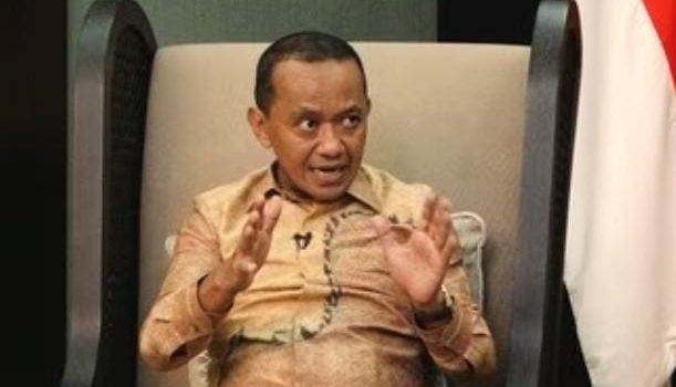 Volkswagen Bakal Investasi Di Industri Baterai Listrik Di Indonesia
