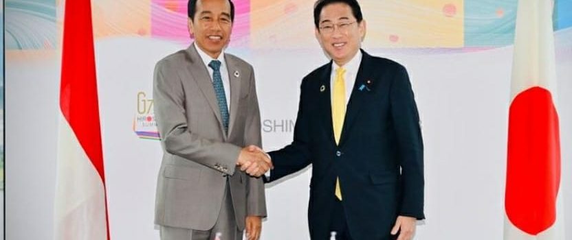Di KTT G7, Selain Proyek Infrastruktur, Jokowi Singgung Target Transisi Energi RI Kepada Jepang
