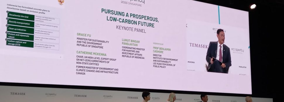 RI Sampaikan Komitmennya Untuk Dorong Energi Hijau di Mata Dunia