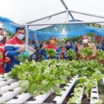 Sinergikan Warga Bangun Kampung Pangan Inovatif, Kontribusi KPI Tingkatkan Kualitas SDM Indonesia